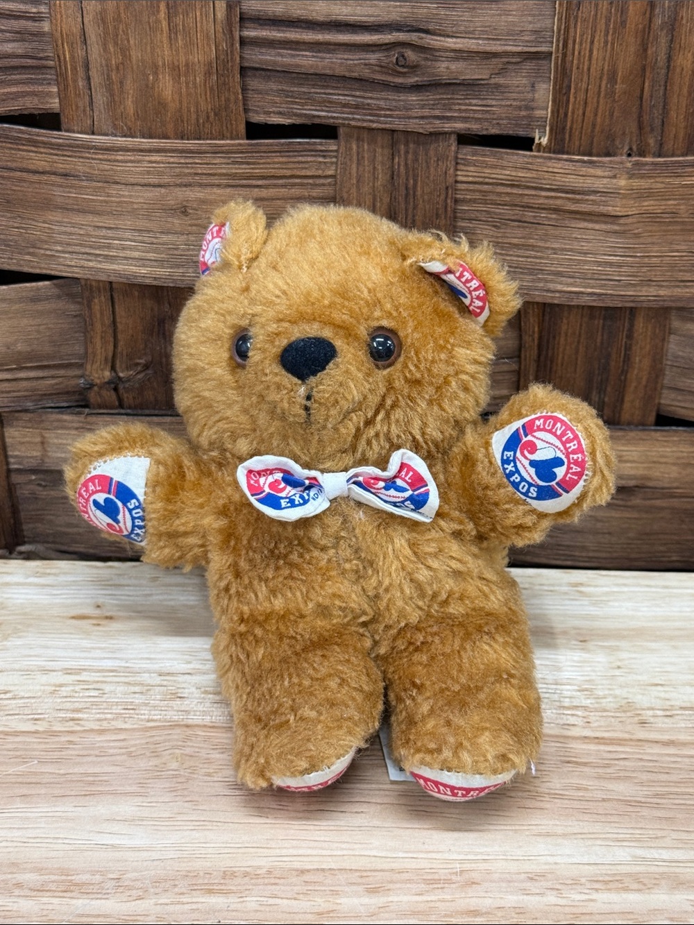 Vintage Expos Montreal MLB Plush Bear Toy with Logo Accents